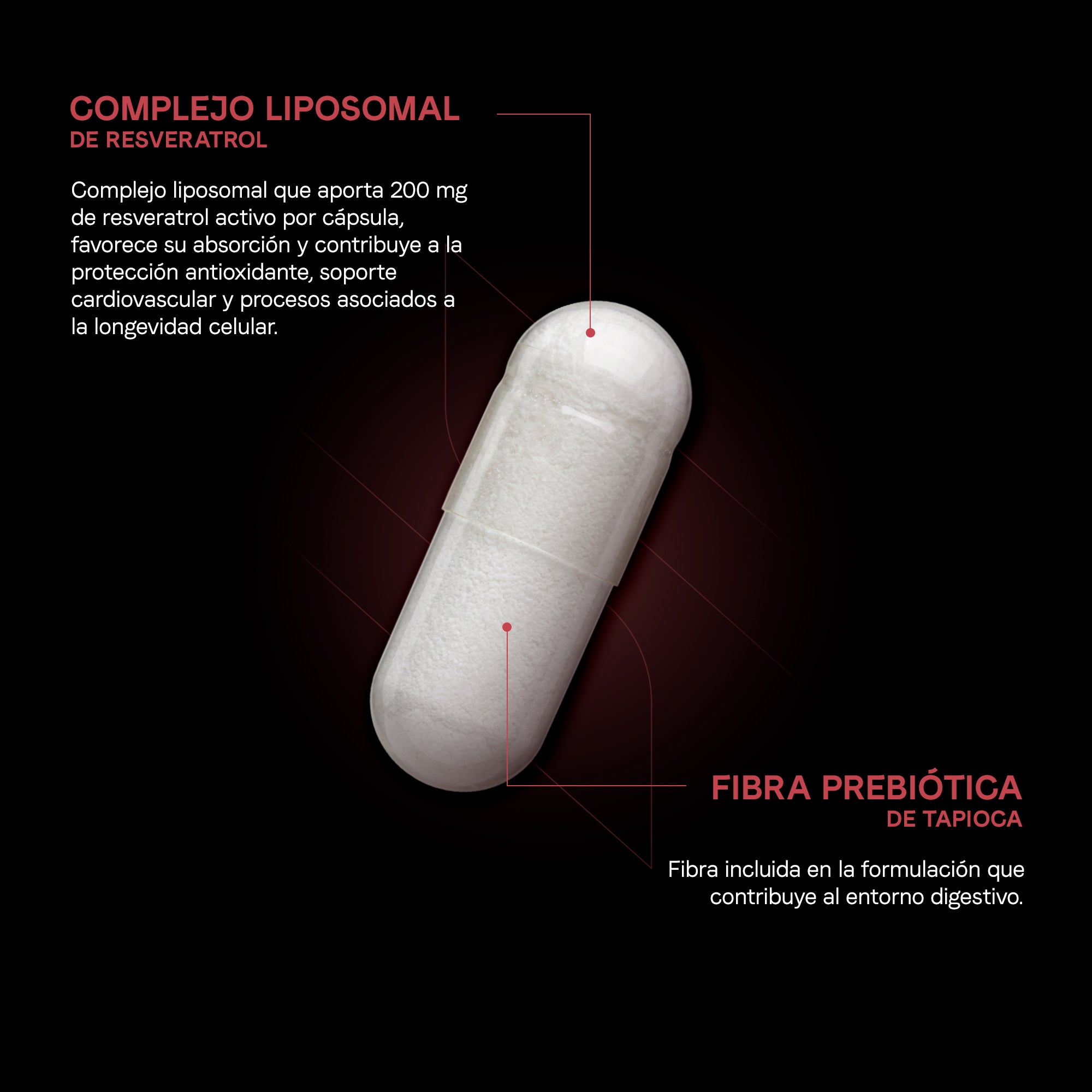 Resveratrol Liposomal 500 mg | 200 mg de Resveratrol por Cápsula | Certificado FST | Antioxidante Celular | 60 Cápsulas | 2 Meses