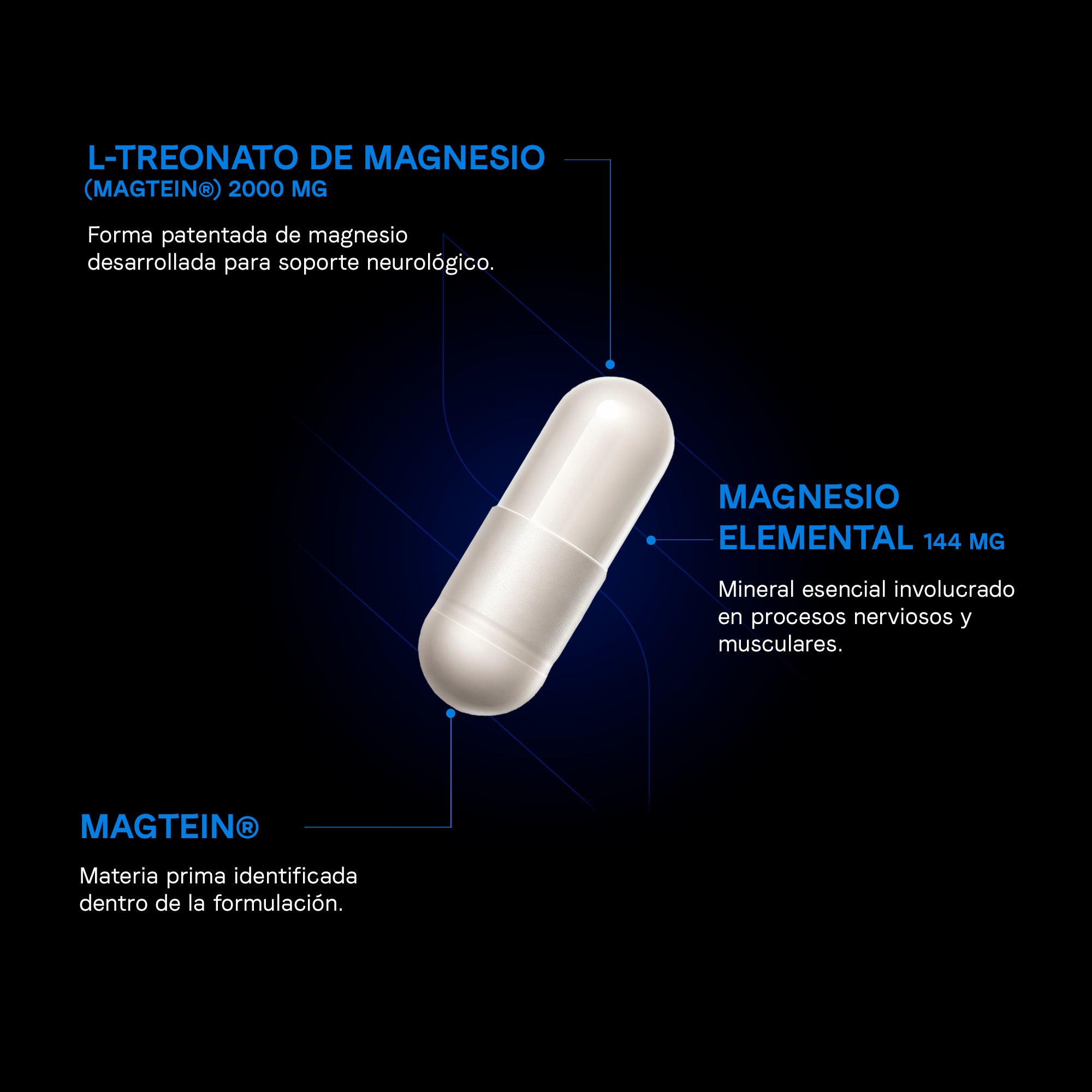 Magnesio L-Treonato Magtein® | Magnesio de Alta Absorción | Apoyo Cognitivo y Bienestar Mental