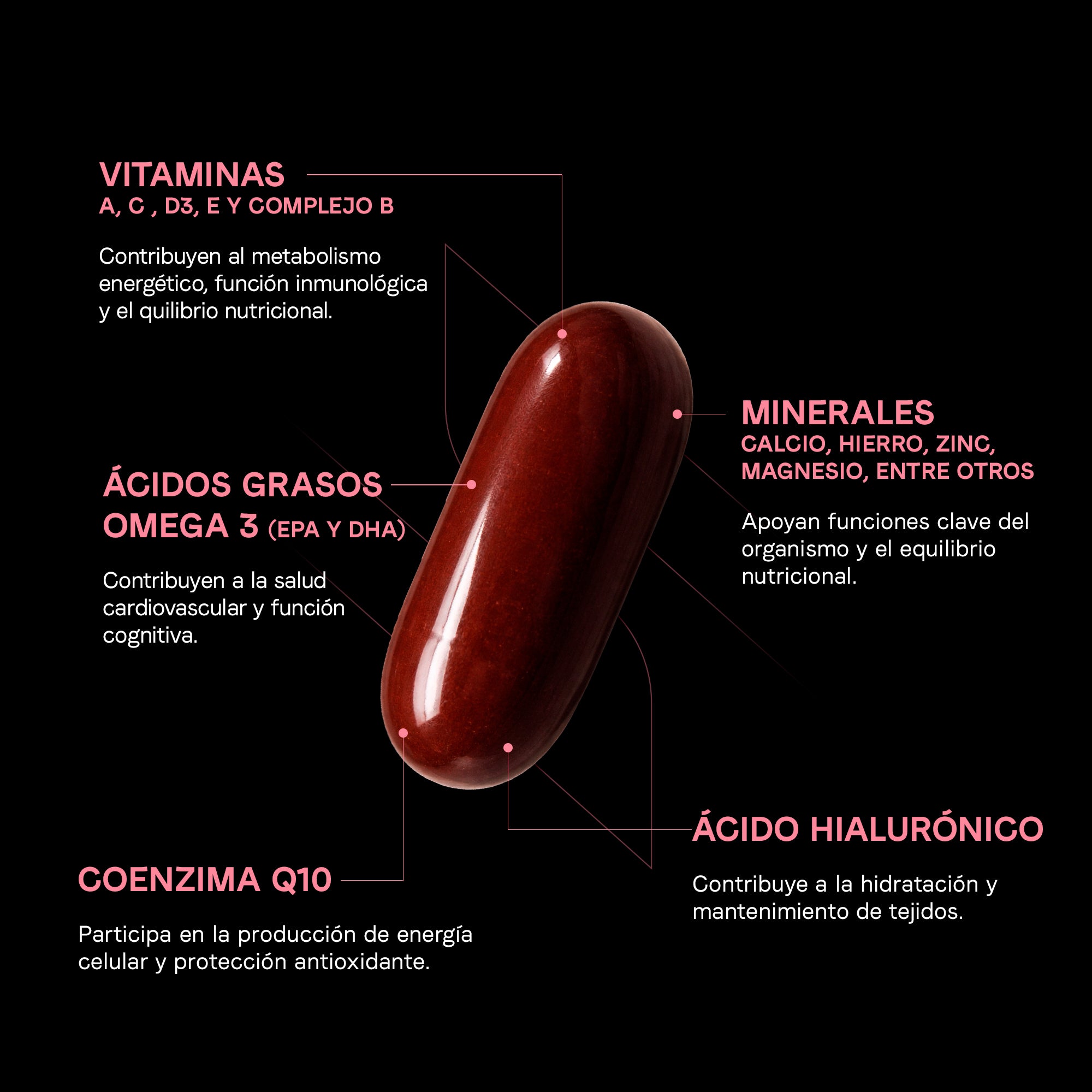 Multivitamínico para Mujer con CoQ10, Biotina, Ácido Hialurónico y Omega 3
