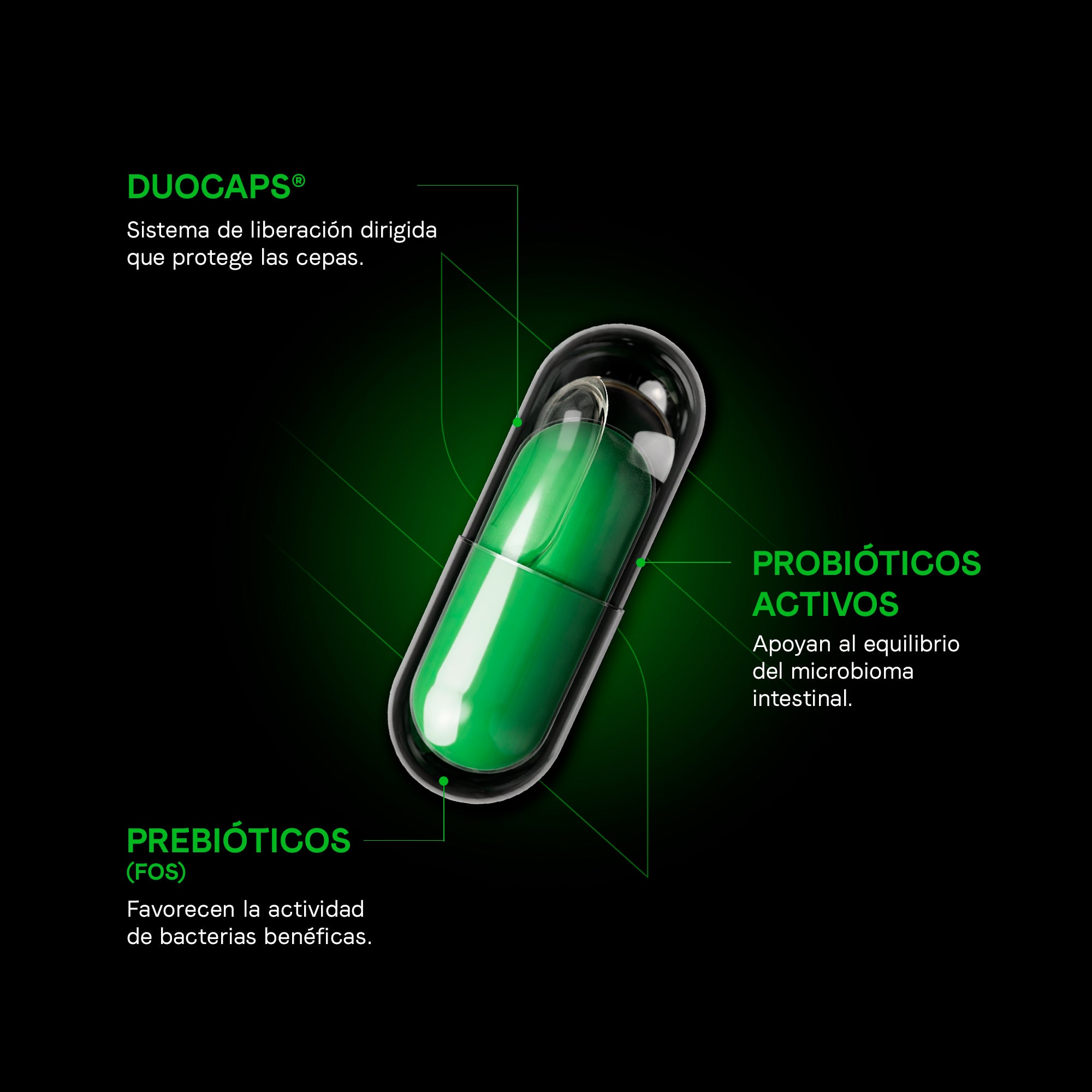 Synbiotic Plus Duocaps | Probióticos Y Prebióticos Premium Con Liberación Retardada