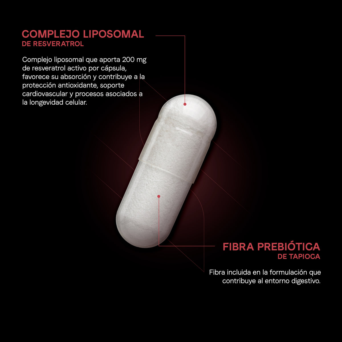 Resveratrol Liposomal 500 mg | 200 mg de Resveratrol por Cápsula | Certificado FST | Antioxidante Celular | 60 Cápsulas | 2 Meses