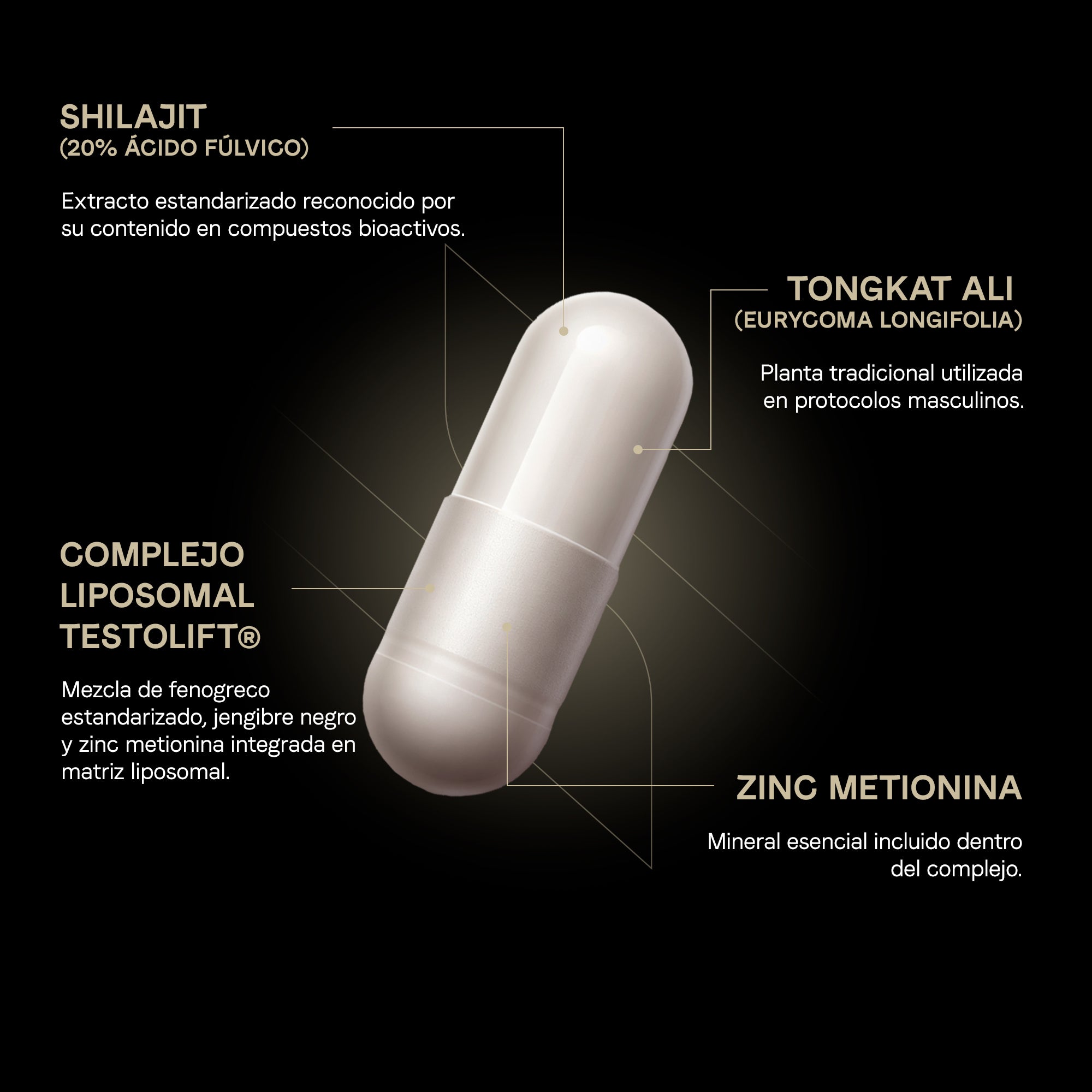 TestoFuel Con Shilajit, Tongkat Ali Y Zinc Liposomal