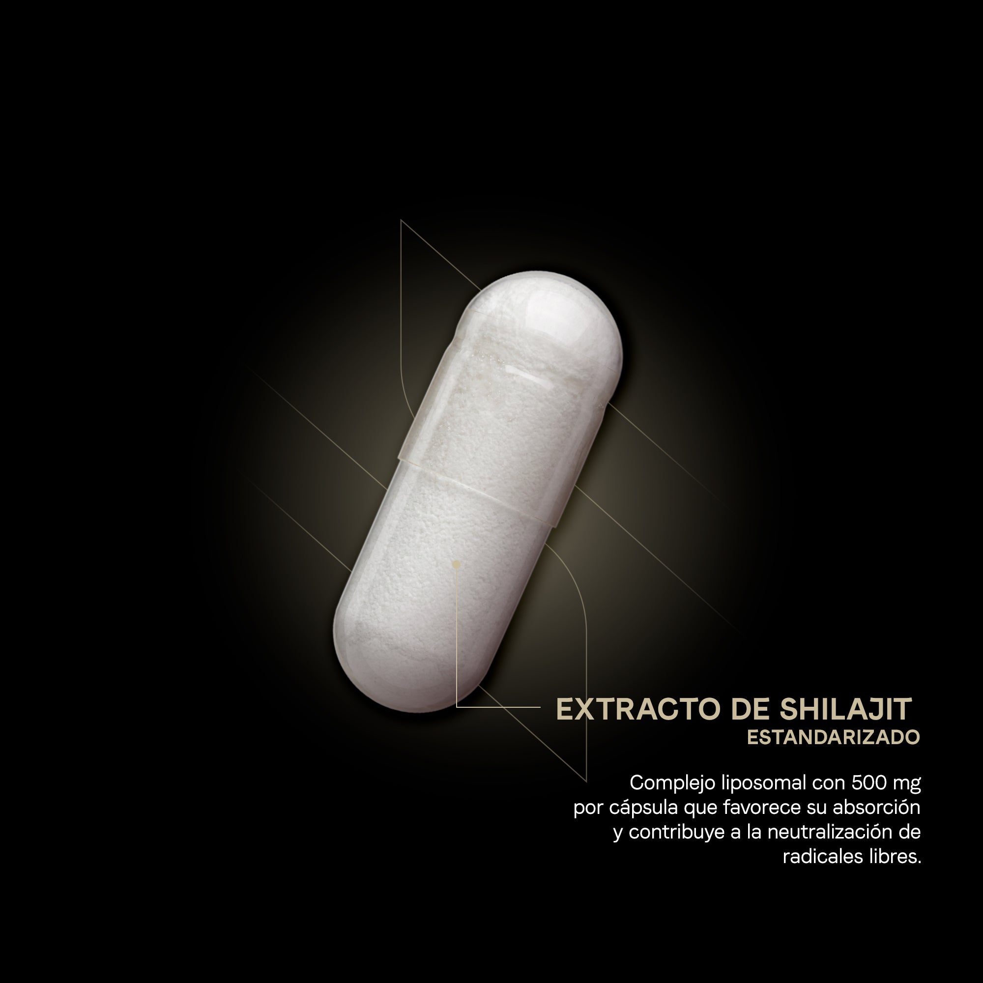 Himalayan Shilajit Liposomal con Ácido Fúlvico y Minerales Iónicos