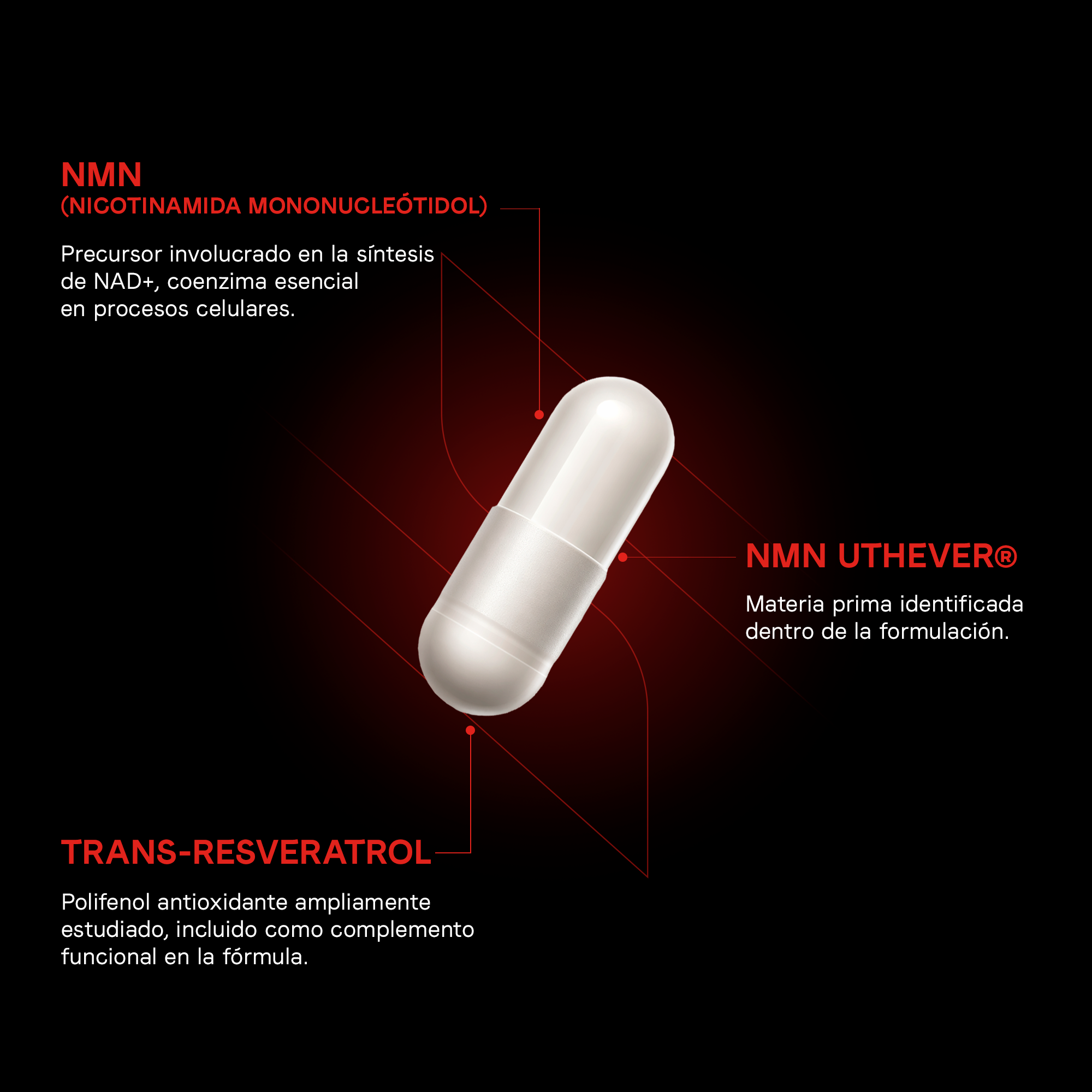 NMN Suplemento Vitanna - Ingredientes NMN Nicotinamida Mononucleótido y Trans-Resveratrol