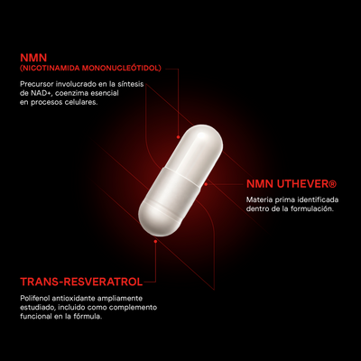 NMN Suplemento Vitanna - Ingredientes NMN Nicotinamida Mononucleótido y Trans-Resveratrol