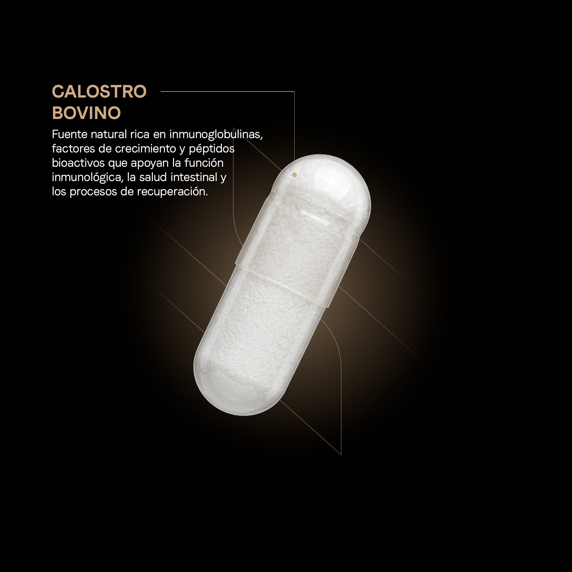 Calostro Bovino con 20% de Inmunoglobulinas Y Factores de Crecimiento Bioactivos