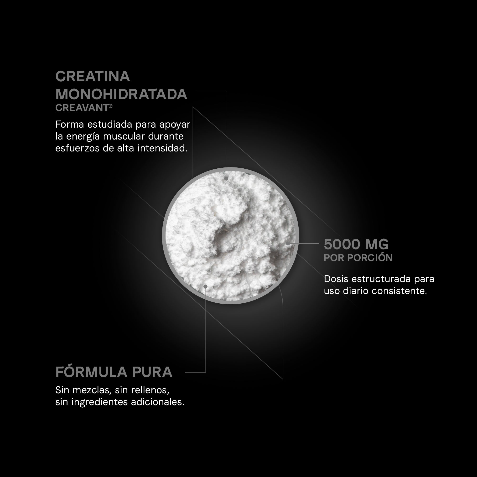 Creatina Monohidratada Creavant®