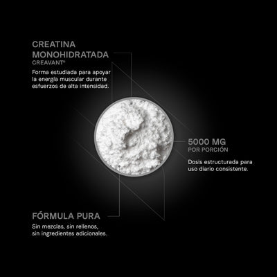 Creatina Monohidratada Creavant®