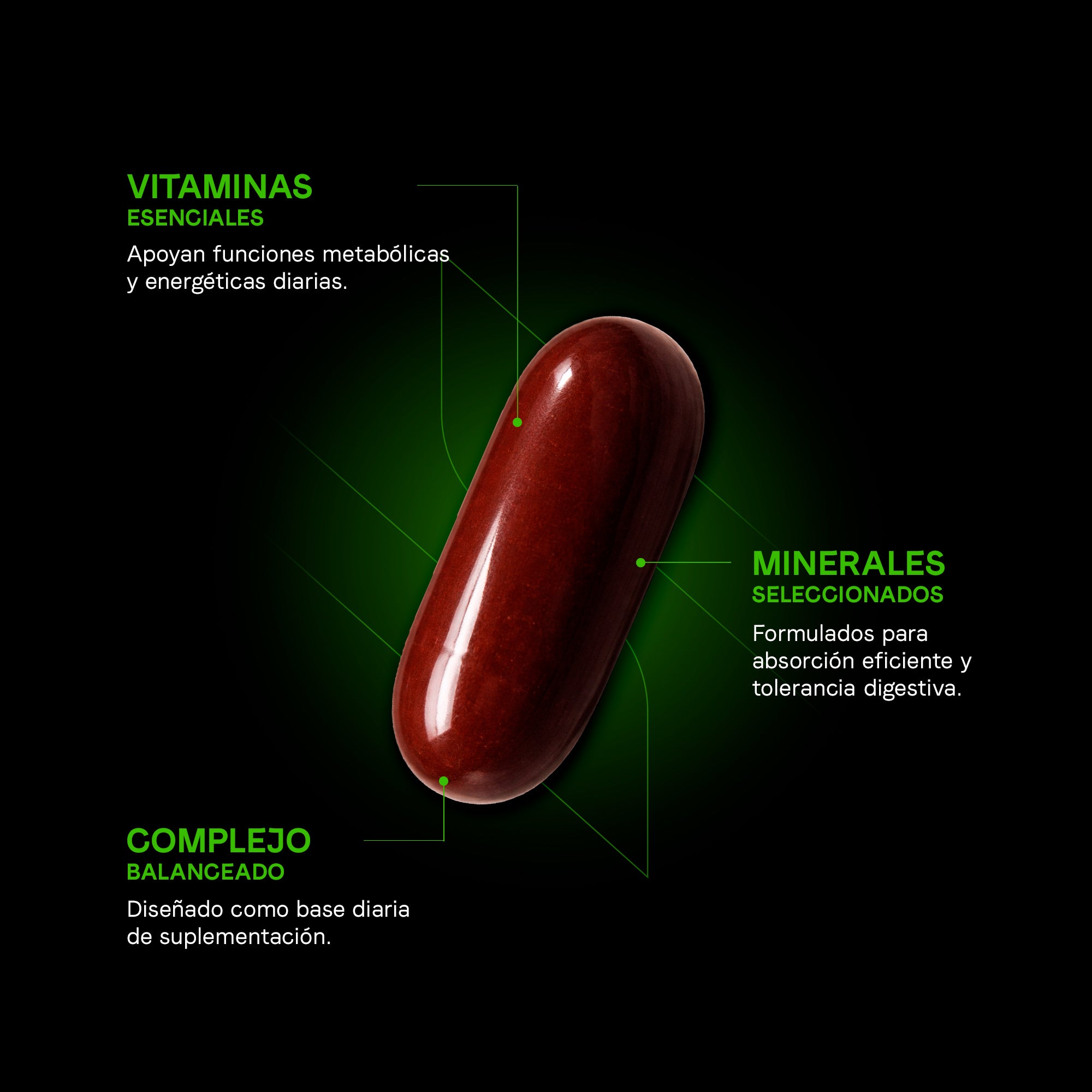 Multivitamínico Premium Con Omega 3 | Vitaminas, Minerales, Quercetina, Adenosina | Para Hombres Y Mujeres