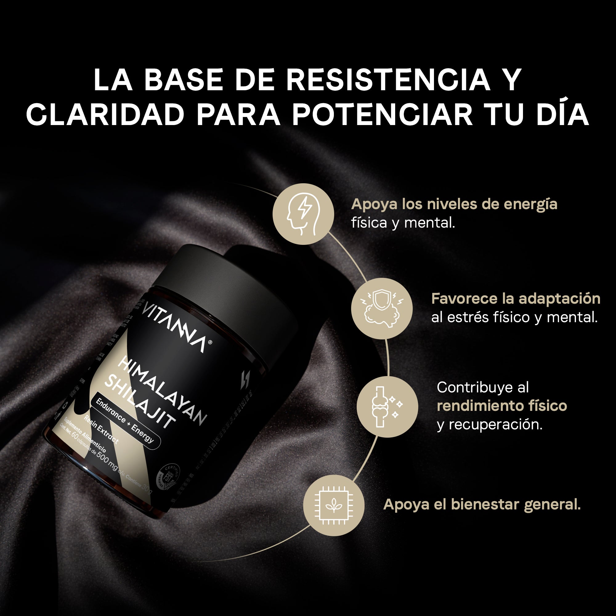 Himalayan Shilajit Liposomal con Ácido Fúlvico y Minerales Iónicos