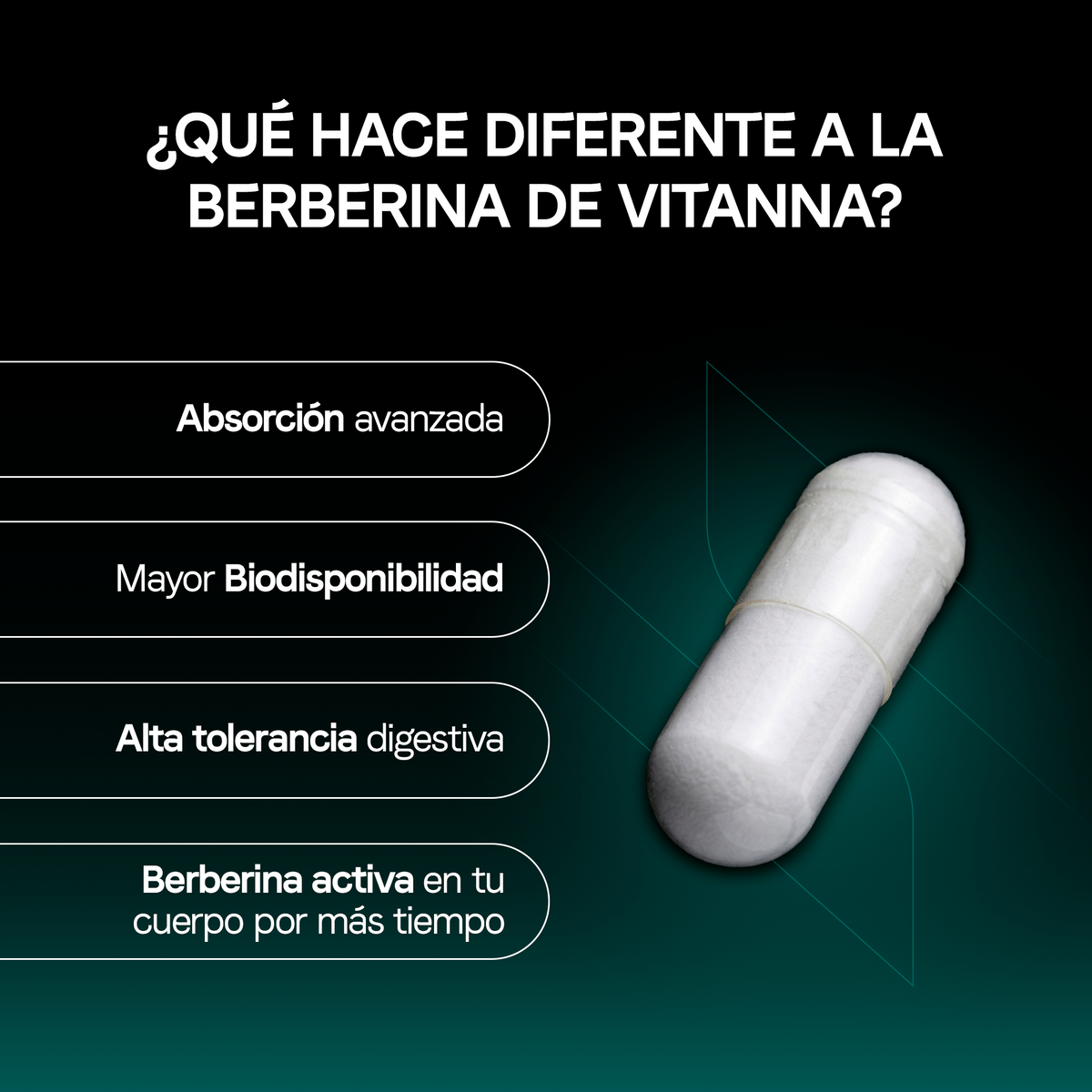 Berberina Liposomal 500 mg |  Alta Absorción Verificado | Origen Botánico | Bienestar Metabólico | 60 Cápsulas 2 Meses