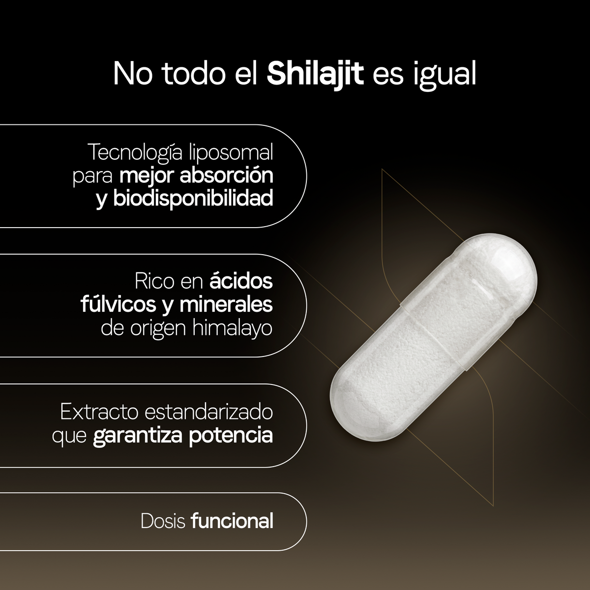 Shilajit Liposomal 500 mg | Ácido Fúlvico y Minerales Iónicos | Certificado FST | Adaptógeno Himalayo | 60 Cápsulas | 2 Meses