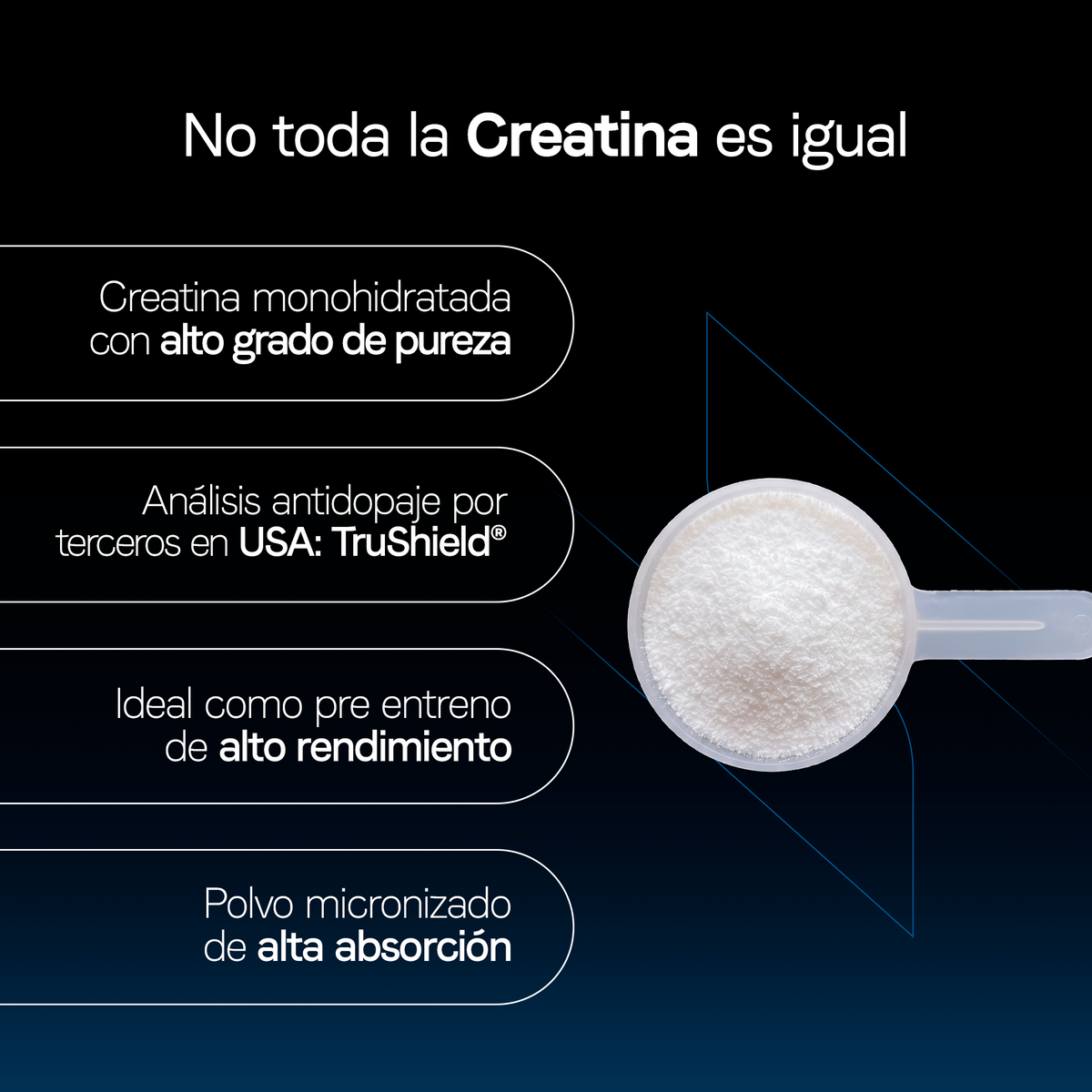 Creatina Monohidratada Creavant® en Polvo Sin Sabor | Alta Pureza | Certificado FST Sport | Apoyo Muscular y Rendimiento Deportivo