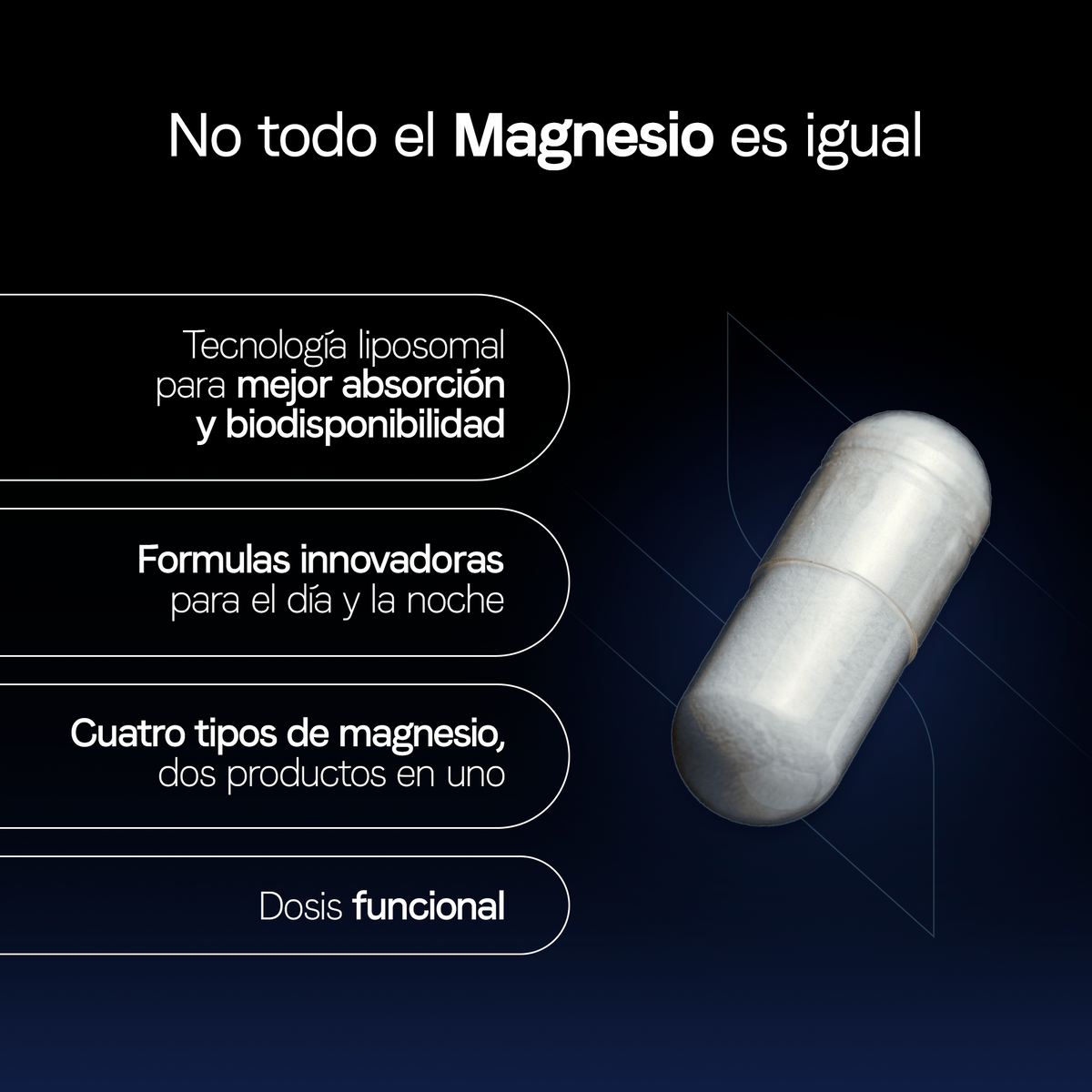 AM/PM Magnesium Complex Magnesio Malato Citrato Bisglicinato y Marino Simag con L-Teanina Día y Noche Verificado FST 240 Cápsulas 2 Meses