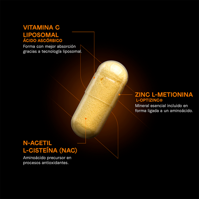 Defense Liposomal Complex | NAC con Vitamina C Liposomal y Glutatión Reducido