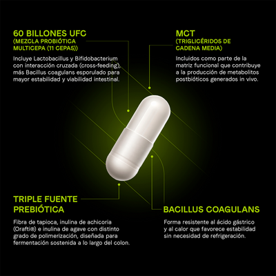 Probióticos, Prebióticos Y Postbióticos 60 Billones UFC | Fórmula 3 en 1 con 11 Cepas